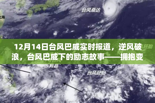 台风巴威下的励志之旅,逆风破浪,拥抱变化,自信成就梦想之旅(实时报道)