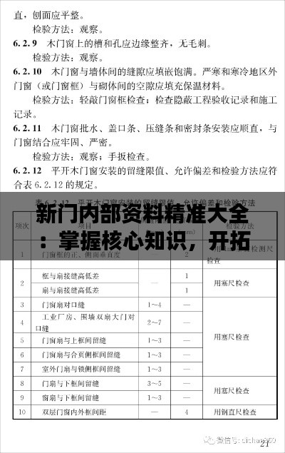 新门内部资料精准大全:掌握核心知识,开拓专业视野