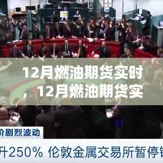 全面评测与介绍,12月燃油期货实时动态