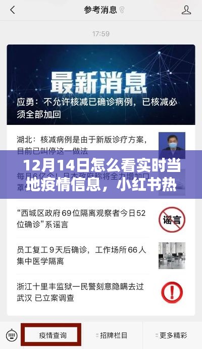 掌握最新动态!小红书热门推荐揭秘如何轻松获取当地疫情实时信息——以12月14日为例
