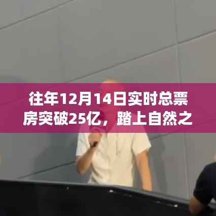 票房破纪录背后的故事启示,自然之旅的心灵探寻与喜悦之路