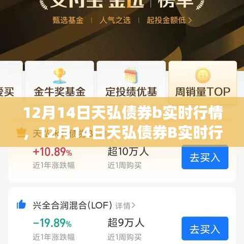 12月14日天弘债券B实时行情详解,从入门到进阶的分析指南