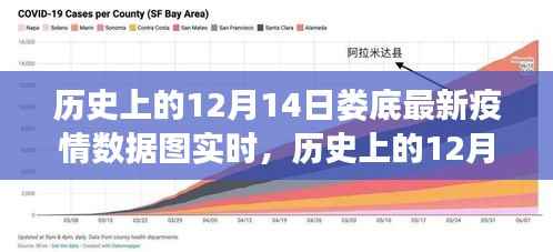 历史上的12月14日娄底最新疫情数据实时解读,特性、体验与目标用户分析全解析