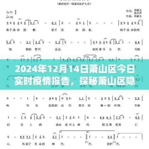2024年萧山区疫情实时报告,隐秘小巷与美食秘境的探秘之旅