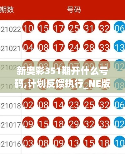 新奥彩351期开什么号码,计划反馈执行_NE版4.466