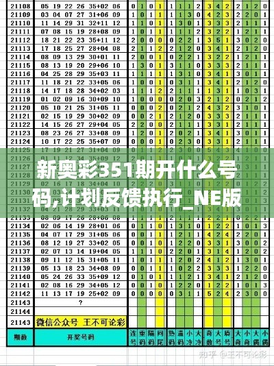 新奥彩351期开什么号码,计划反馈执行_NE版4.466