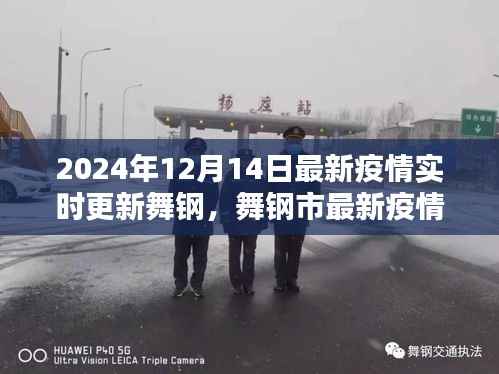舞钢市最新疫情动态分析报告,聚焦实时更新与观点阐述(2024年12月14日)