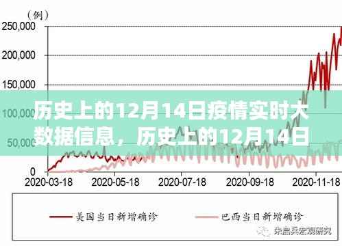 历史上的12月14日疫情实时大数据全面解析与介绍