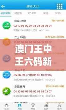 澳门王中王六码新澳门,实地验证策略数据_模拟版12.732