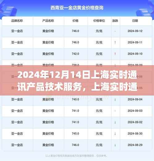 上海实时通讯产品技术服务崛起与影响,观察节点2024年12月14日