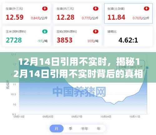 揭秘,12月14日引用背后的真相探索之旅(小红书带你揭秘)