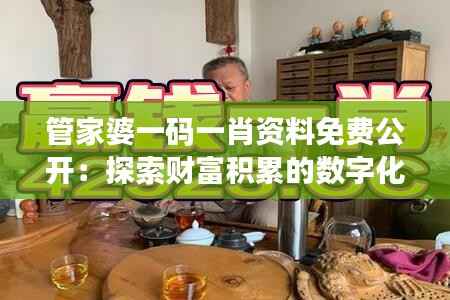 管家婆一码一肖资料免费公开:探索财富积累的数字化路径