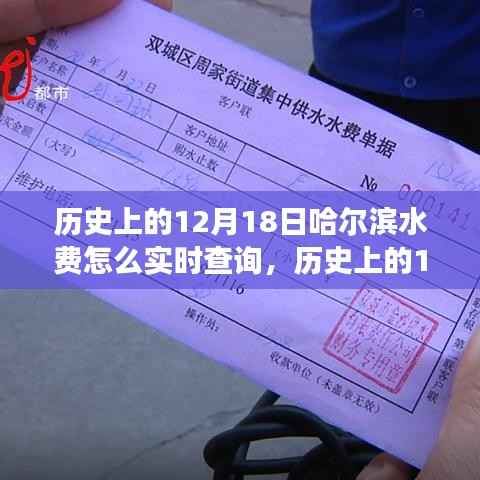 历史上的12月18日哈尔滨水费查询演变与现状解析,实时查询方法及发展历程探讨