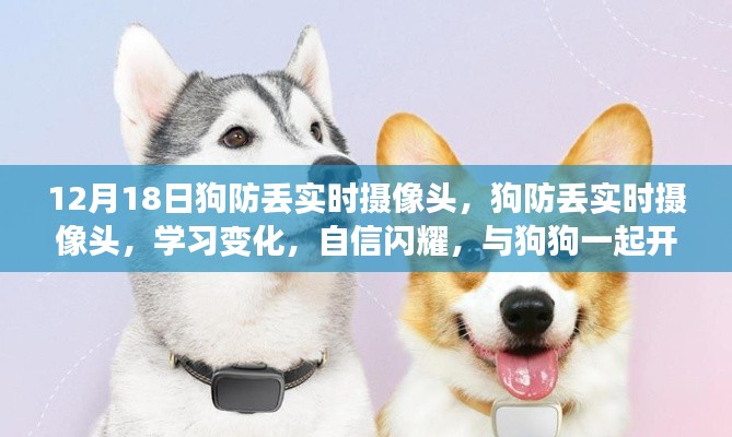 励志狗狗守护之旅,狗防丢实时摄像头与学习成长之路