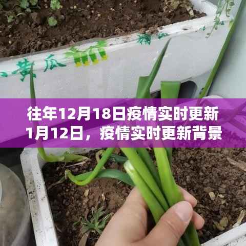 疫情背景下学习技能指南,从初学者到进阶用户的学习指南(往年12月18日至今年疫情实时更新)