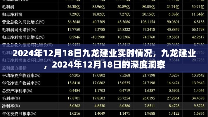 九龙建业深度洞察,2024年12月18日实时情况及展望