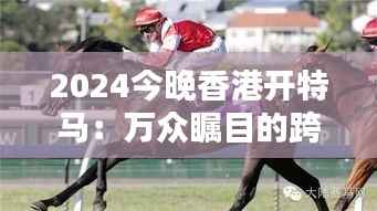 2024今晚香港开特马:万众瞩目的跨年马术盛典