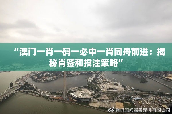 “澳门一肖一码一必中一肖同舟前进:揭秘肖签和投注策略”