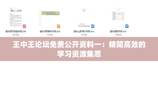 王中王论坛免费公开资料一:精简高效的学习资源集萃