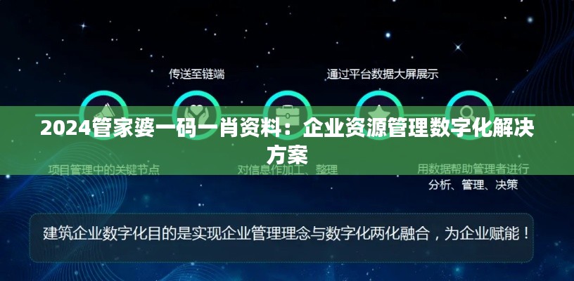2024管家婆一码一肖资料:企业资源管理数字化解决方案