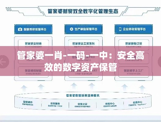 管家婆一肖-一码-一中:安全高效的数字资产保管