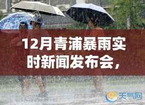 青浦暴雨背后的秘密与小巷美食奇遇,12月实时新闻发布会揭秘