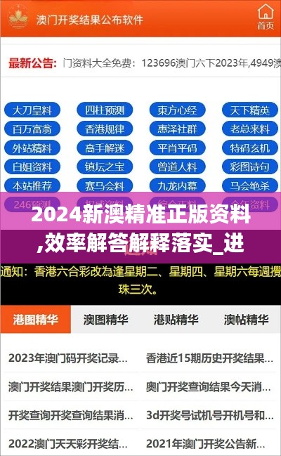 2024新澳精准正版资料,效率解答解释落实_进阶版17.907