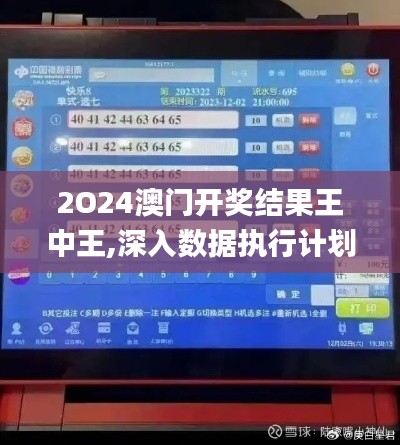 2O24澳门开奖结果王中王,深入数据执行计划_复刻版10.310