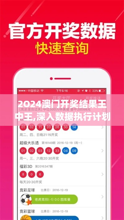 2O24澳门开奖结果王中王,深入数据执行计划_复刻版10.310