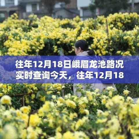 往年12月18日峨眉龙池路况实时查询,今日出行指南与实时路况更新通知