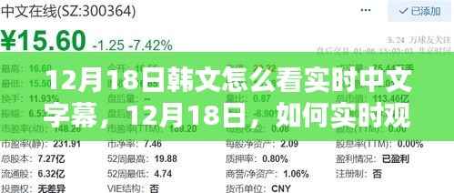 如何实时观看韩文节目并同步解读中文字幕,方法与技巧解析