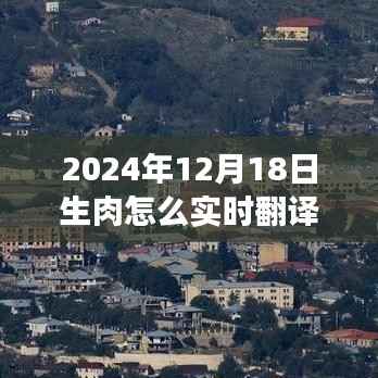 实时翻译助探秘,深冬之旅的肉质翻译指南与心灵净土的探寻