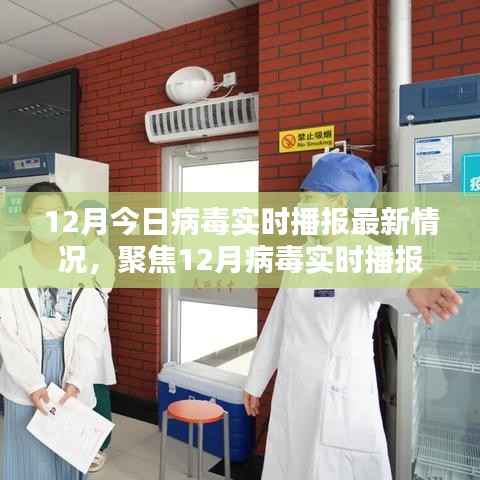 12月病毒实时播报最新情况及多元观点分析