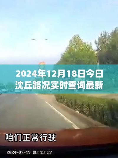 沈丘路况实时更新,驰骋之路铸就自信与成就,共同前行于2024年之路