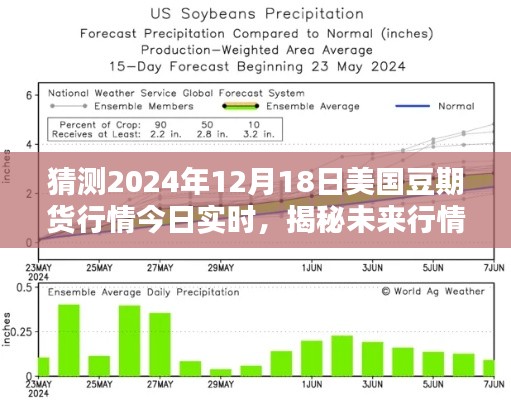 揭秘未来行情,美国豆期货行情预测与实时分析(针对2024年12月18日)
