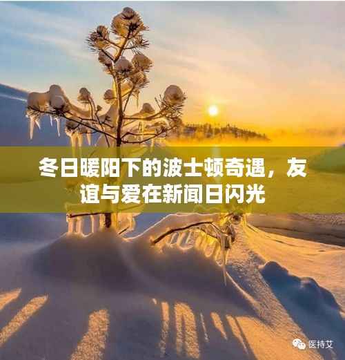 冬日暖阳下的波士顿,友谊与爱在新闻日的闪光奇遇