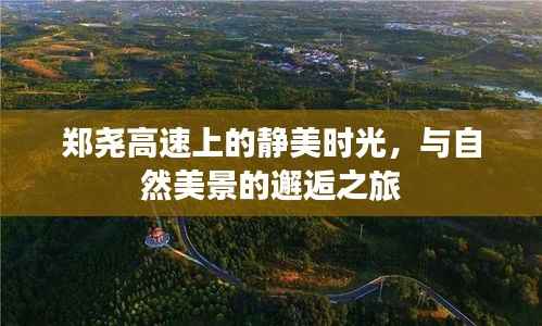 郑尧高速的静美时光,与自然美景的邂逅之旅