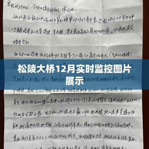 松陵大桥12月实时图片监控展示,桥梁安全一览无余