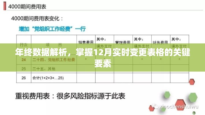 年终数据解析,掌握实时变更表格的关键要素,洞悉十二月数据动态