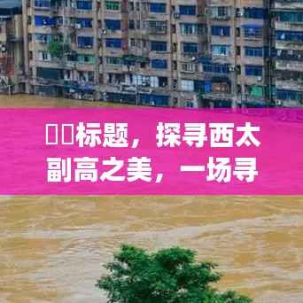 探寻西太副高的奇妙之旅,内心平静的追寻之旅