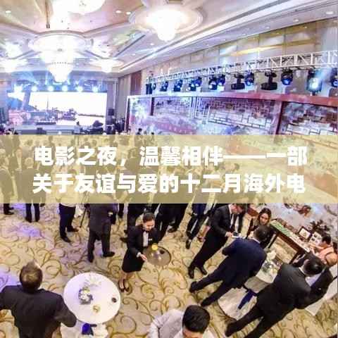 电影之夜,友谊与爱的温馨日常故事