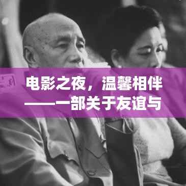 电影之夜,友谊与爱的温馨日常故事