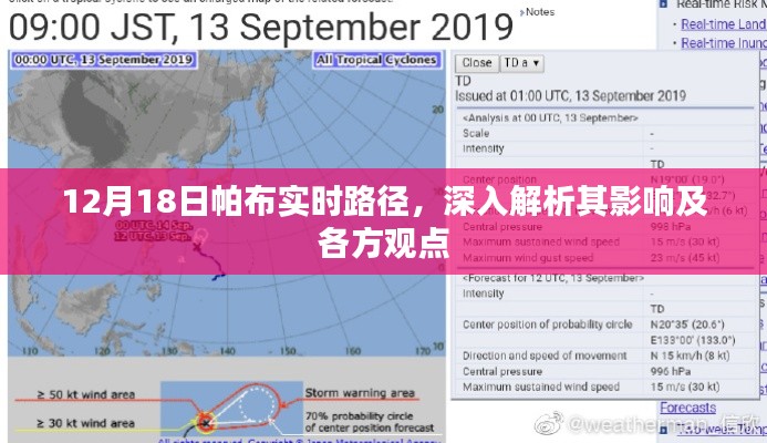 帕布实时路径深度解析,多方观点与影响探讨