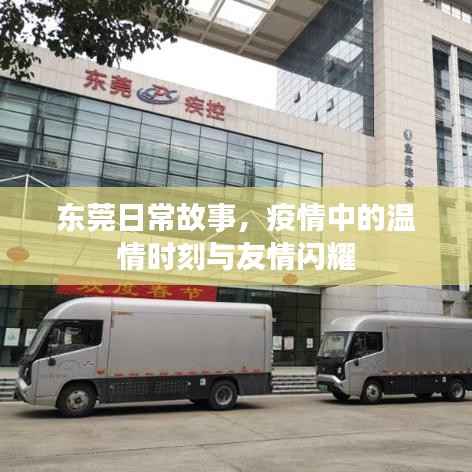东莞日常故事,疫情中的温情与友情瞬间