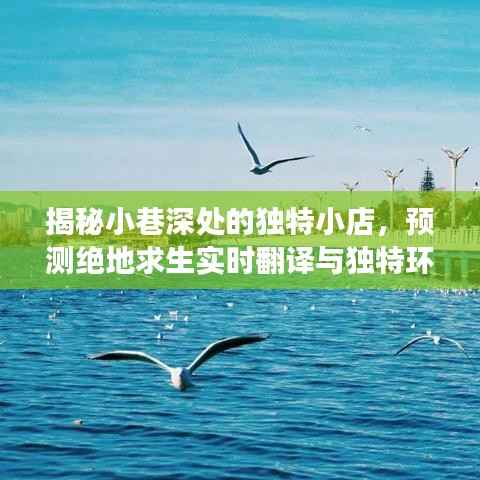 小巷深处的神秘小店,绝地求生实时翻译与独特环境探索揭秘