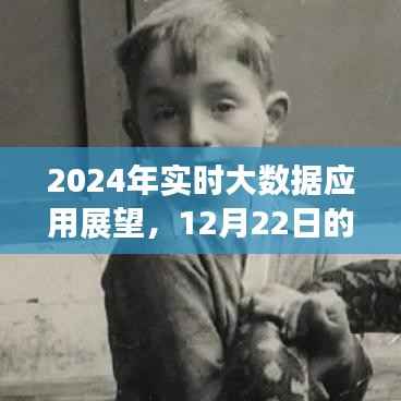 2024年实时大数据应用展望,深度解析12月22日使用场景