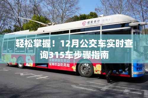 12月公交车实时查询指南,轻松掌握315车步骤