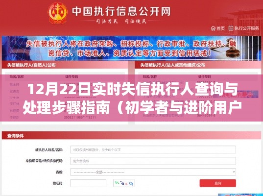 初学者与进阶用户适用的失信执行人查询处理指南,12月22日实时操作指南
