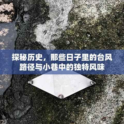 历史探秘,台风路径与小巷风情的独特交织