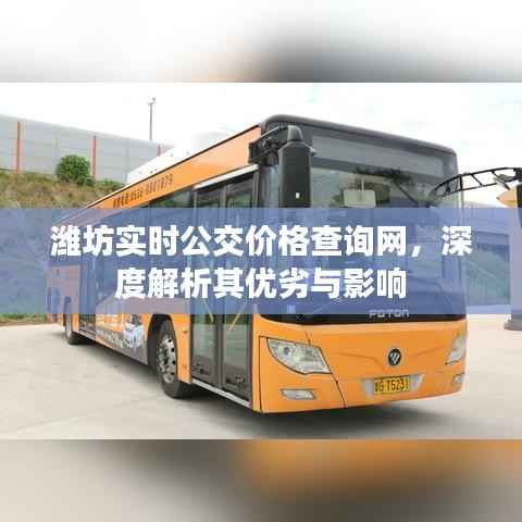 潍坊实时公交价格查询网深度解析,优劣与影响探讨